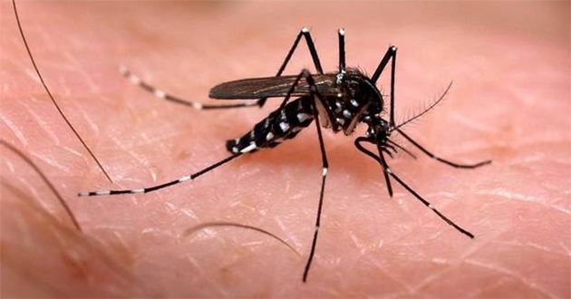 Aumentan casos de chikungunya en Guatemala