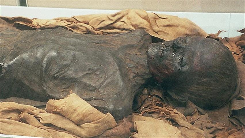 Encuentran más de un millón de momias en una necrópolis de Egipto