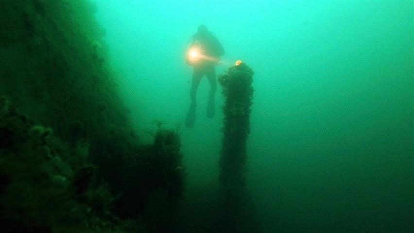 Encuentran un bosque subacuático de 10.000 años